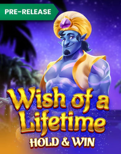 incognitocasino-wish-of-lifetime